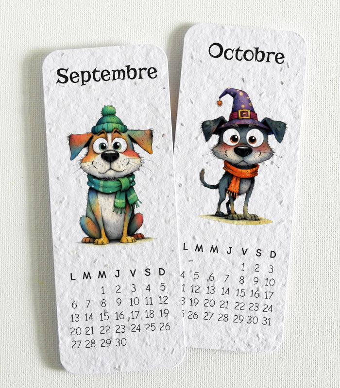 calendrier 2027 papier ensemencé	
