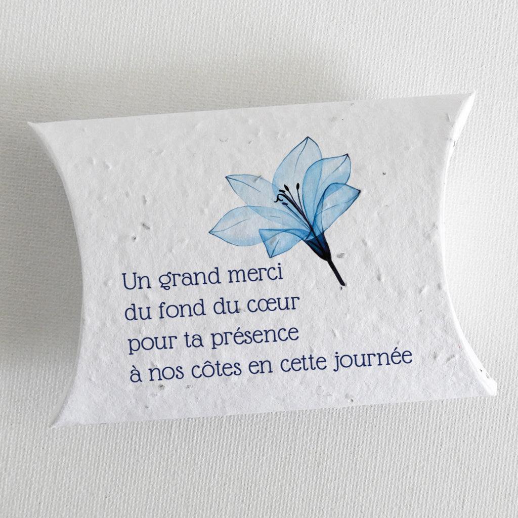 boîte dragée mariage à planter