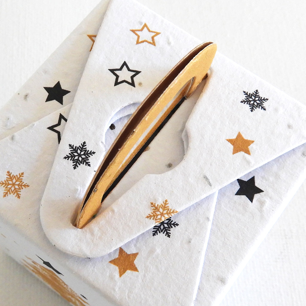 boîte en papier ensemencé