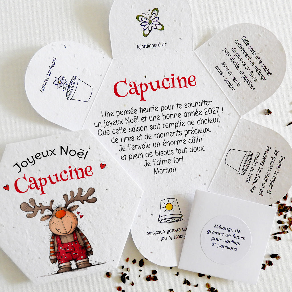cadeau à planter papier ensemencé