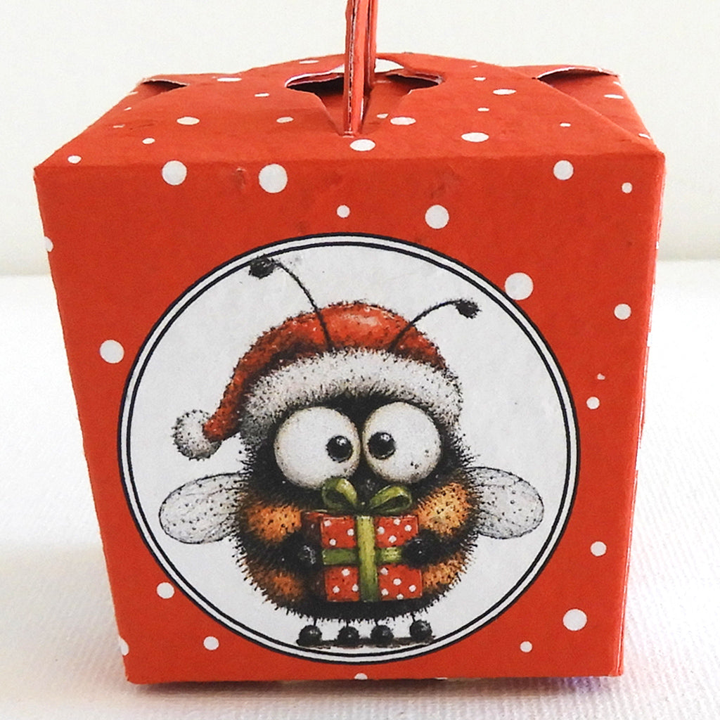 cadeau à semer Noël