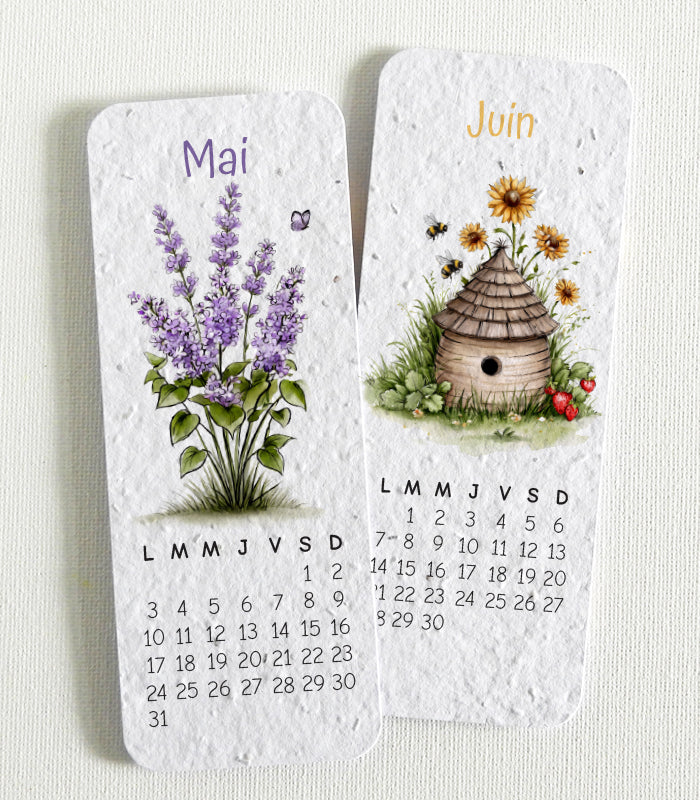 cadeau de Noël écoresponsable calendrier à planter