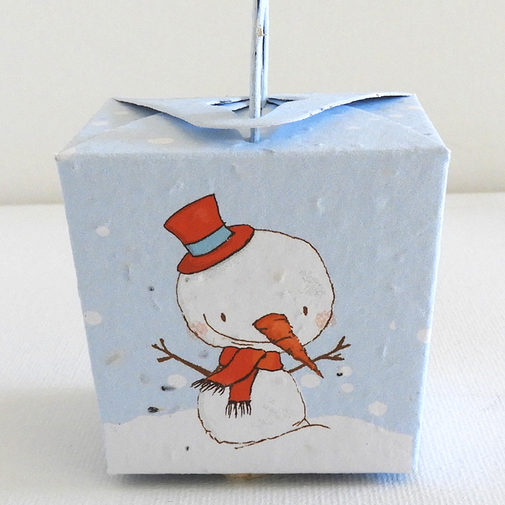 cadeau de Noël papier ensemencé
