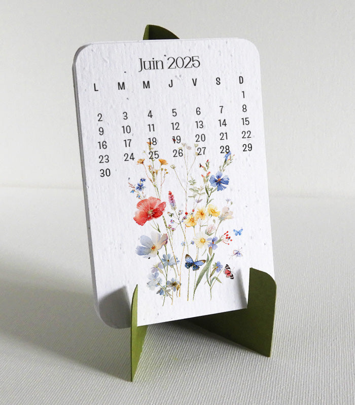 Cadeau écoresponsable fête de mères