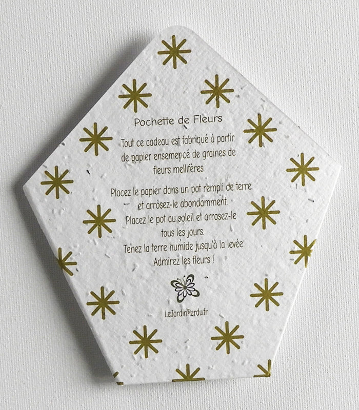 cadeau de noël  papier ensemencé