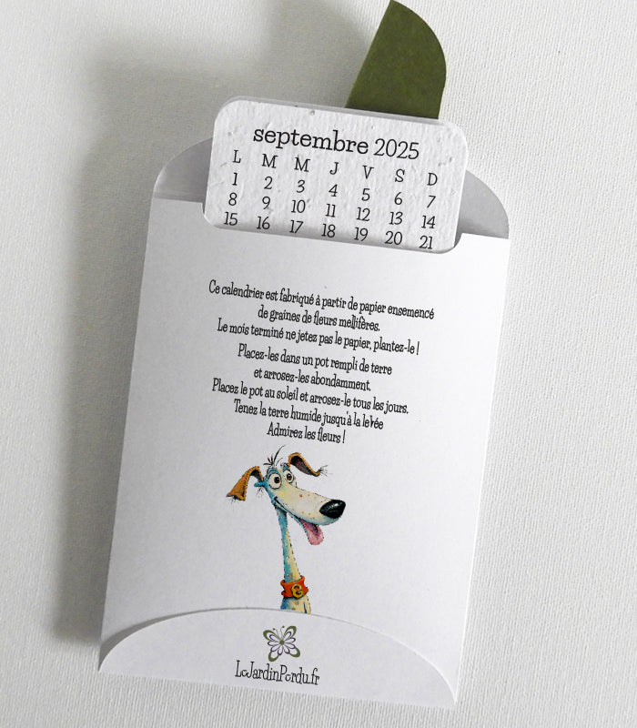 cadeau merci maîtresse original papier ensemencé 