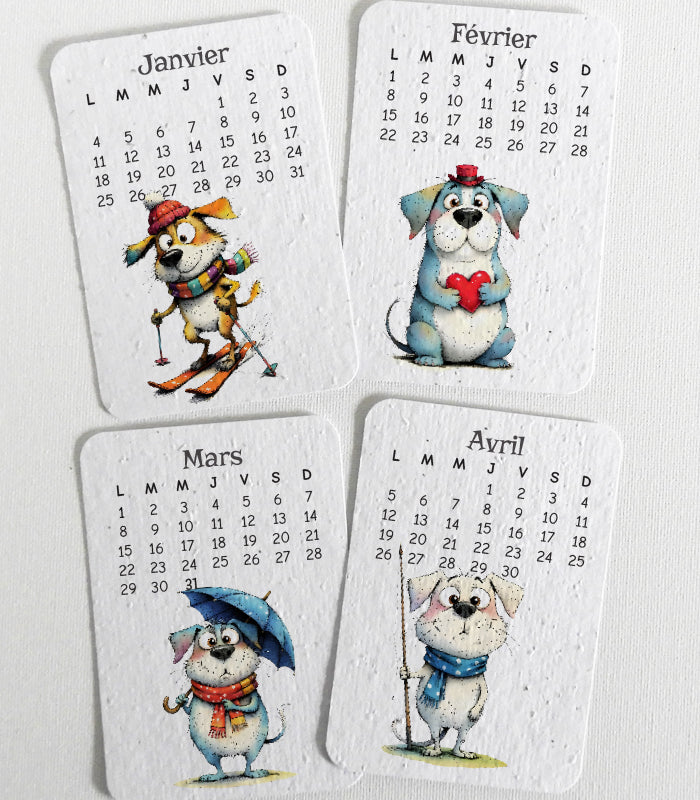 calendrier 2027 papier ensemencé