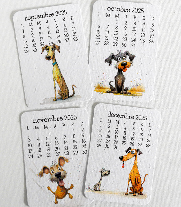 calendrier scolaire à planter cadeau maîtresse