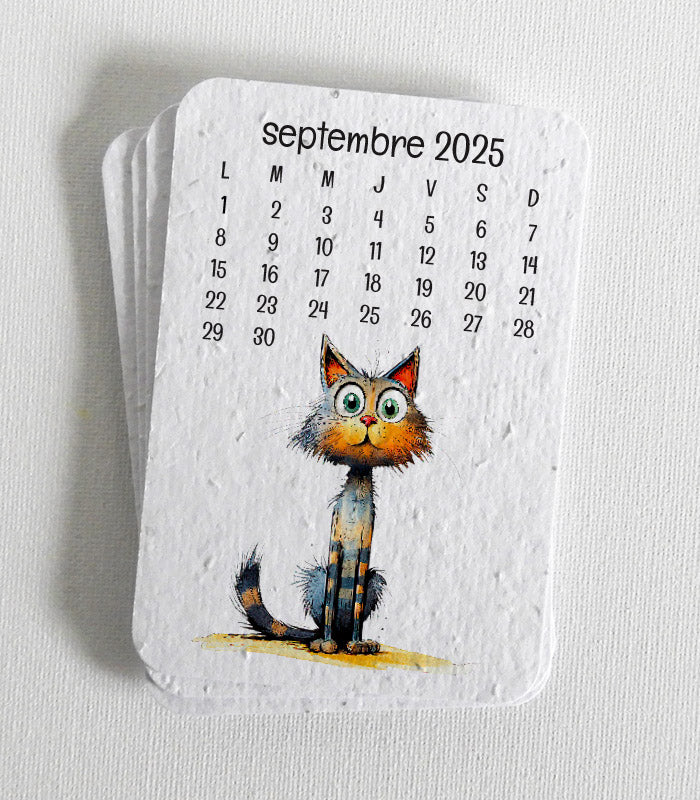 calendrier scolaire à planter cadeau original