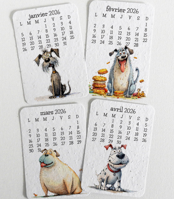 calendrier scolaire papier ensemencé cadeau maîtresse unique