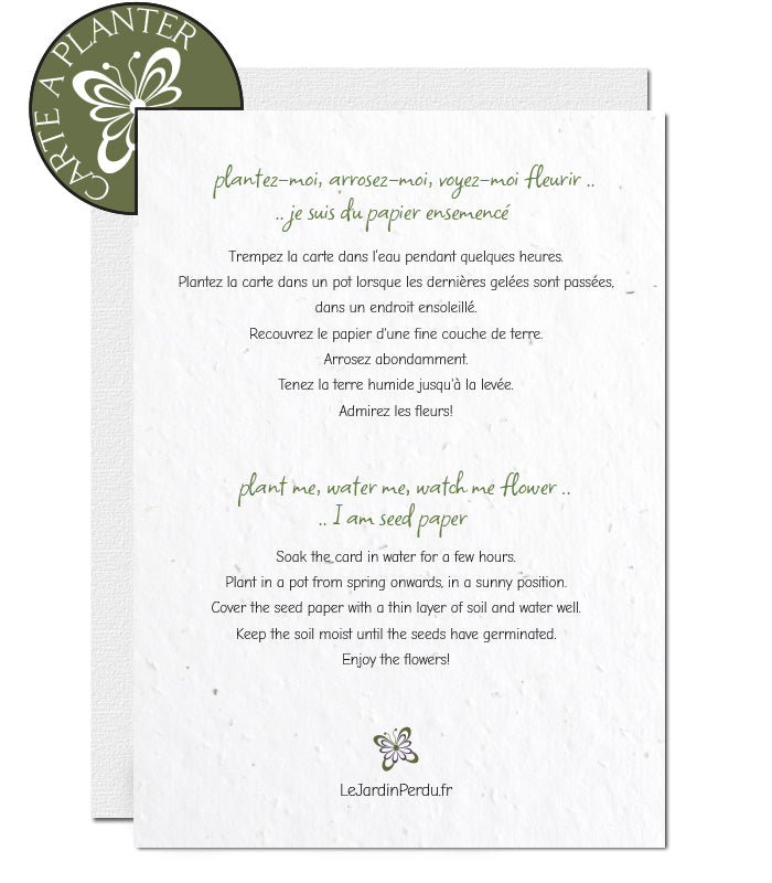 Plantable Valentine's Day Card - Mouse with Raspberry
