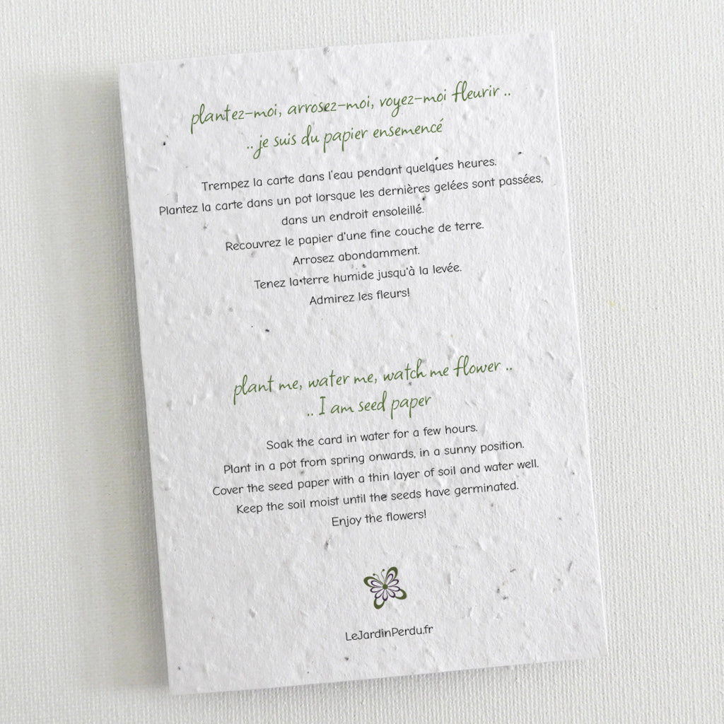 carte à planter conseils de plantation
