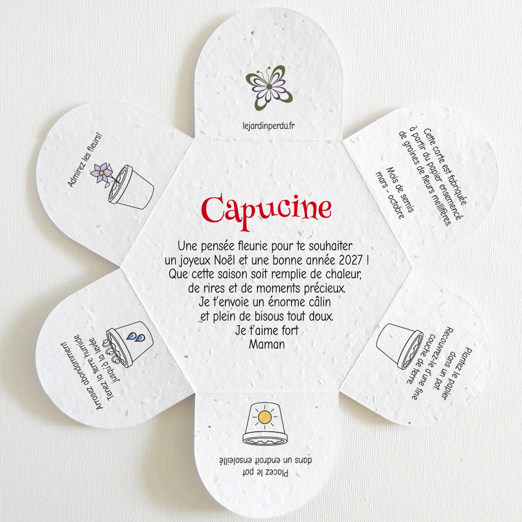 carte à planter Noël