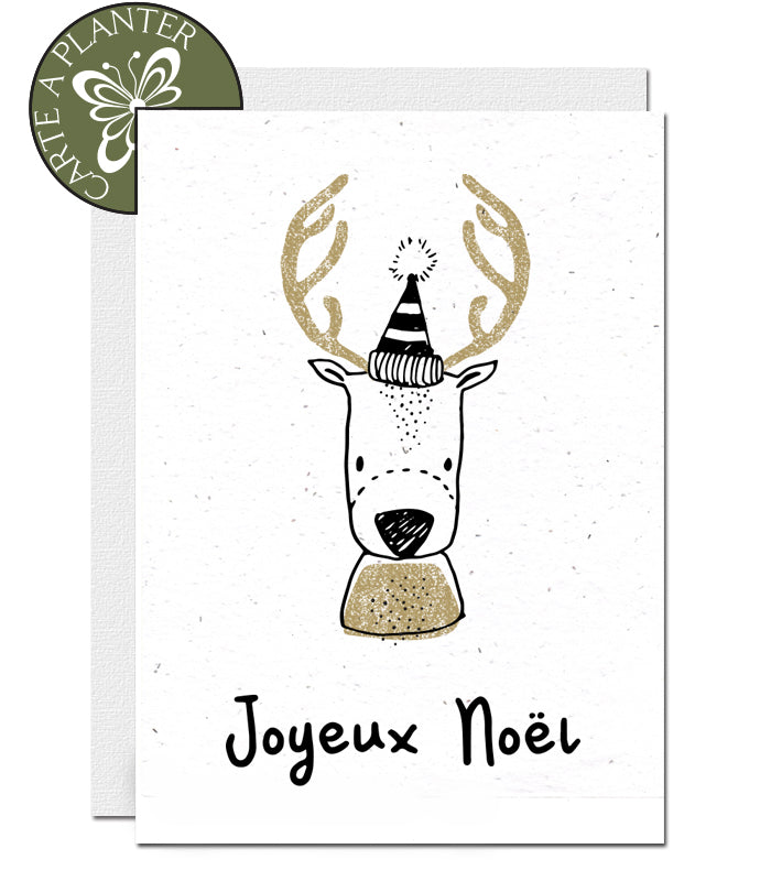 Carte noël biodégradable