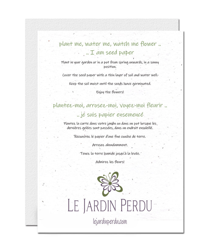 Papier ensemencé conseils de plantation