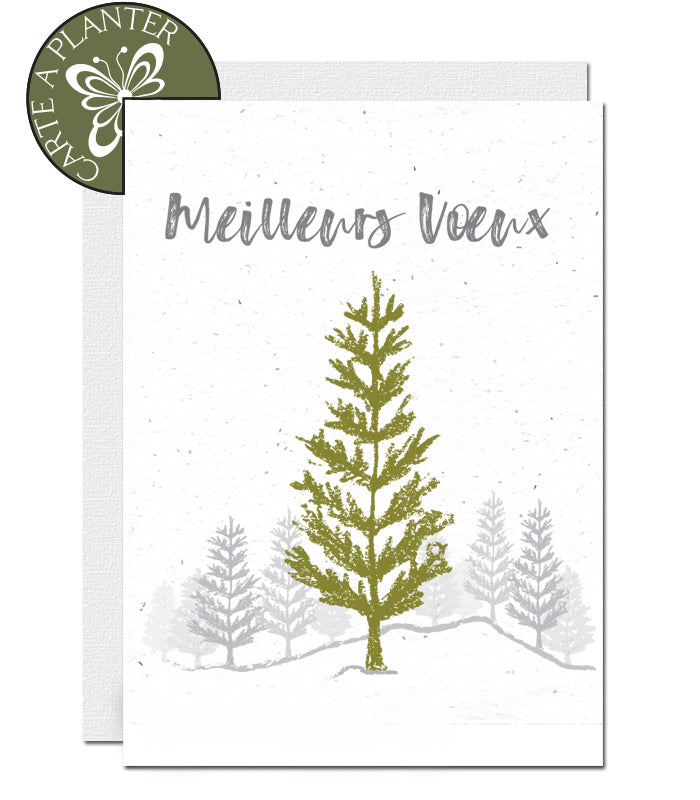 Carte à planter meilleurs voeux 