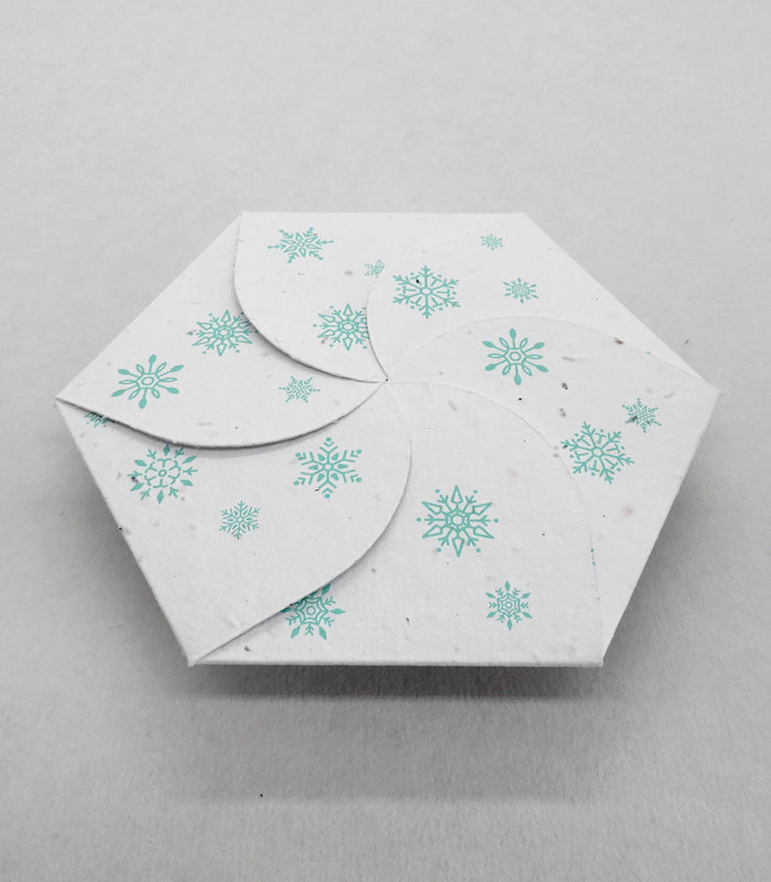 carte de Noël à planter