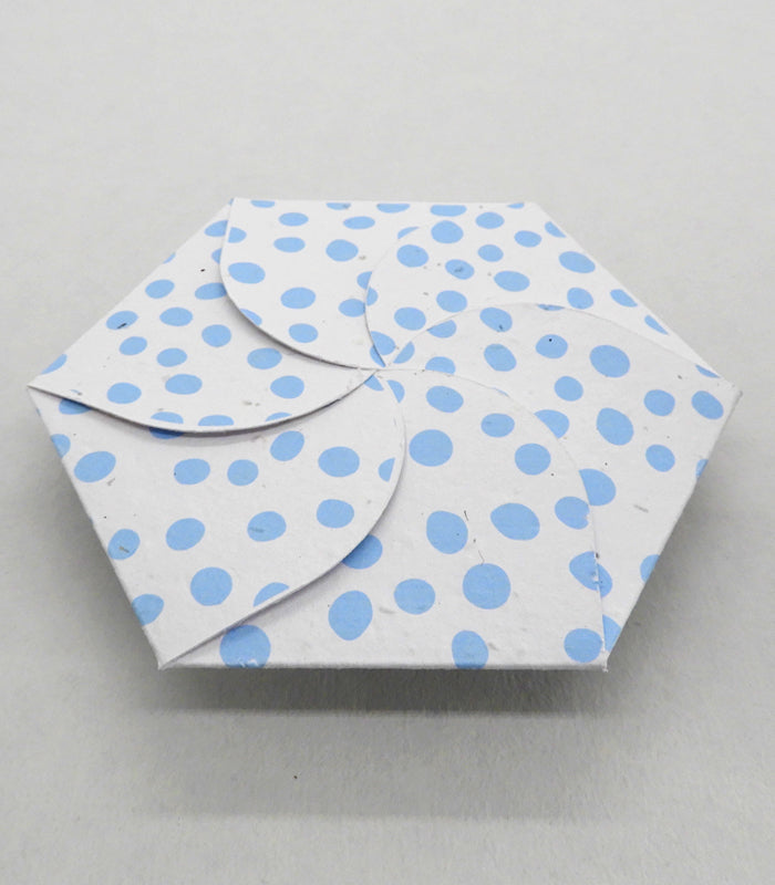 enveloppe cadeau biodégradable