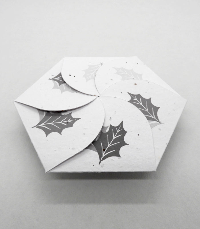 Enveloppe Pétale à Planter – Couronne de Noël