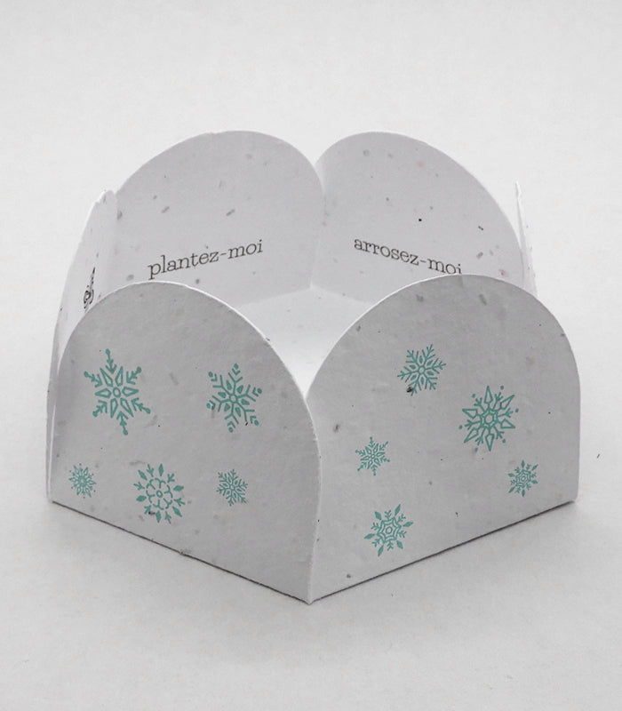 papier ensemencé  Enveloppe pétale 
