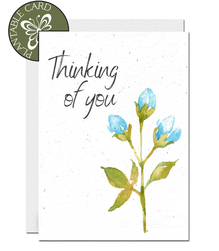 plantable card condolence thinking of you
