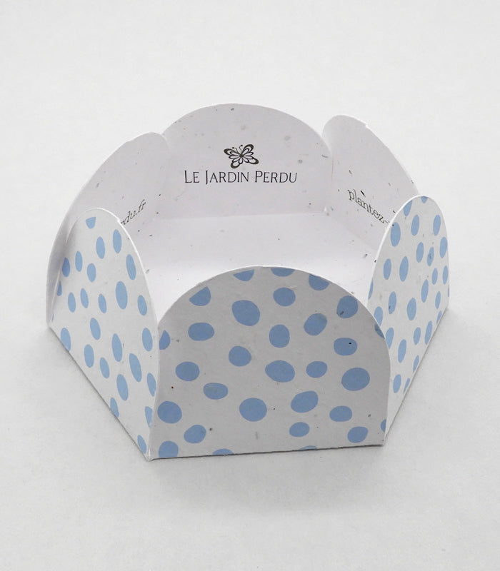 pochette cadeau à planter